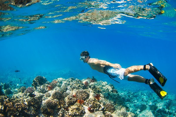 Où trouver les meilleures expériences de snorkelling autour des îles Gili en Indonésie?